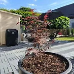 Steinstadl Nyaraló *